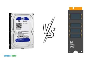 Wd Blue Vs Black Nvme Ssd – Which One is Better?