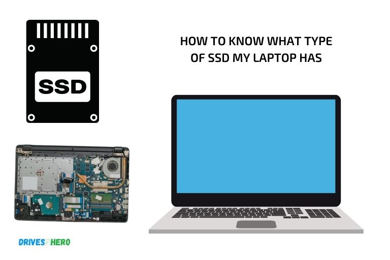 how to know what type of ssd my laptop has