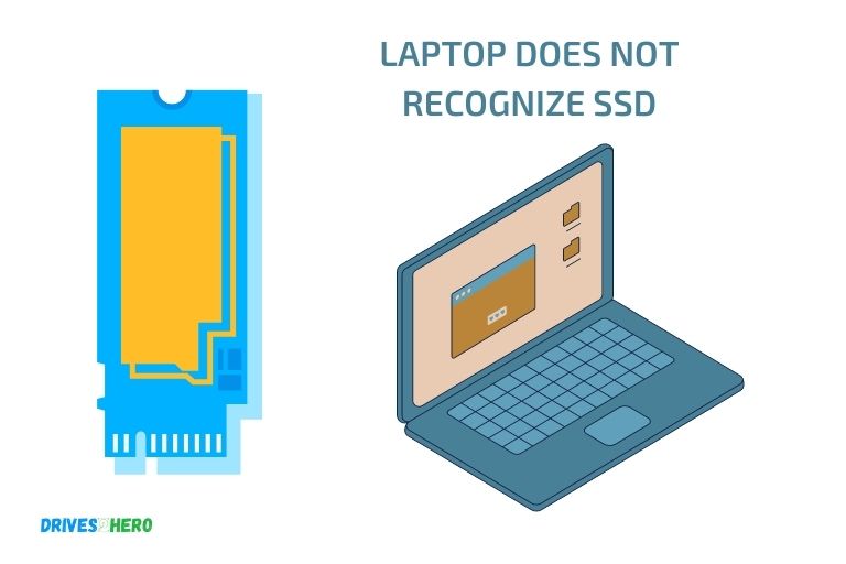 laptop does not recognize ssd