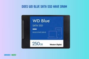 Does Wd Blue Sata Ssd Have Dram? Yes!