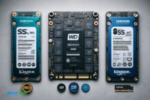 Kingston Vs Wd Vs Samsung Ssd: Which One Is Superior?
