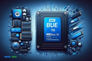 Wd Blue 1Tb Vs Ssd: Which One Is Superior?