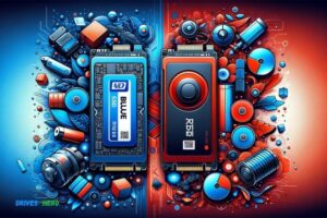 Wd Blue Vs Red Ssd: Which Is The Better Choice?