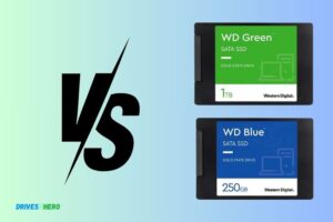 Wd SATA SSD Green Vs Blue: Which One Is Superior?