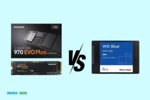 Samsung Evo Ssd Vs Wd Blue Ssd: Which Is The Better Choice?